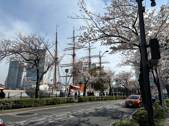 【横浜】自然と建物の調和〜横浜みなとみらい〜