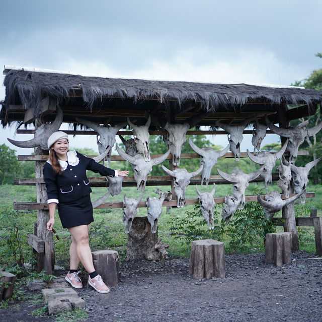 National park Baluran (Banyuwangi)