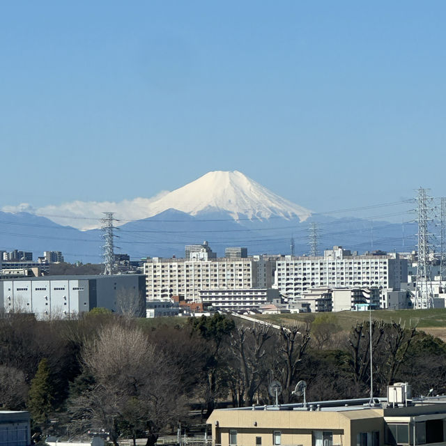 Affordable hotel with a view of Mt Fuji