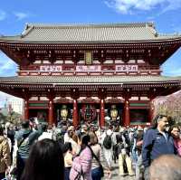 💫 Tokyo’s most Vibrant District: Asakusa! 🇯🇵