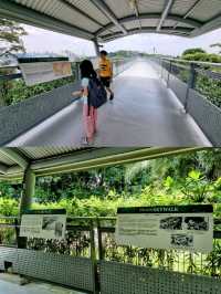 🇸🇬 Fort Siloso Skywalk