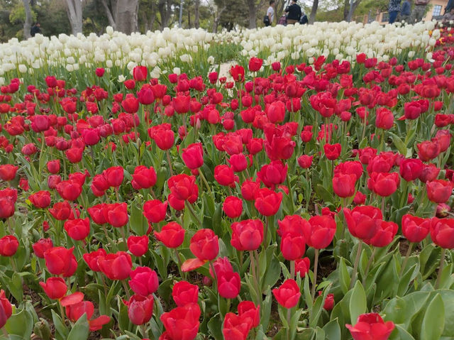 Alaaddin Hill Park