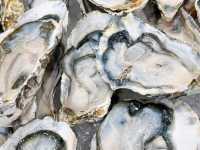 พามาทาน Buffet Seafood