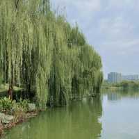 珠海二井灣濕地公園～感受大自然的恬靜優雅