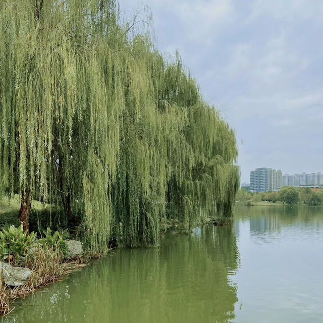 珠海二井灣濕地公園～感受大自然的恬靜優雅