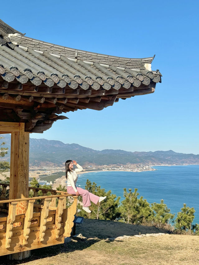 영덕으로 떠나야하는 이유 🩵