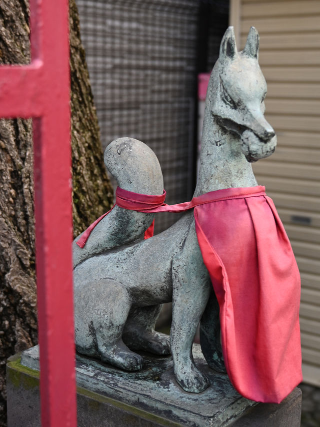 【亀住稲荷神社/千代田区】赤い柵の稲荷玉と凛々しい狛狐