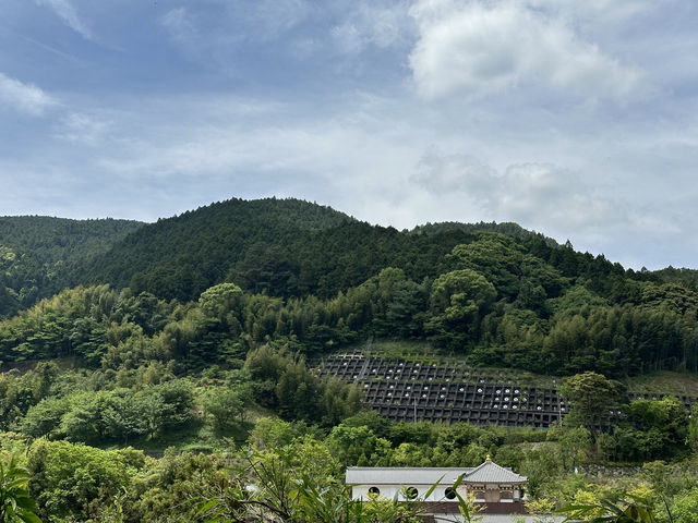 Majestic Buddha statue 