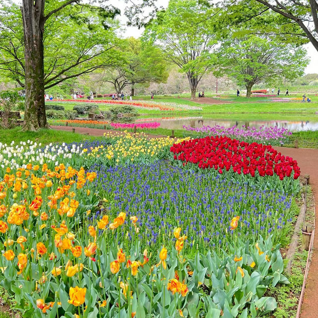 臺北樂活花園：自然景緻都市綠洲