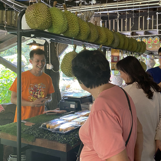 🌳 Family gatherings with largest DURIAN in 🇲🇾!