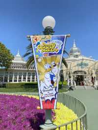 ドナルド主役のイベント開催！装飾がドナルド一色