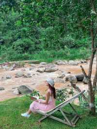 Stay Wild & Café ที่พักและคาเฟ่ริมลำธารสุดชิล🌿