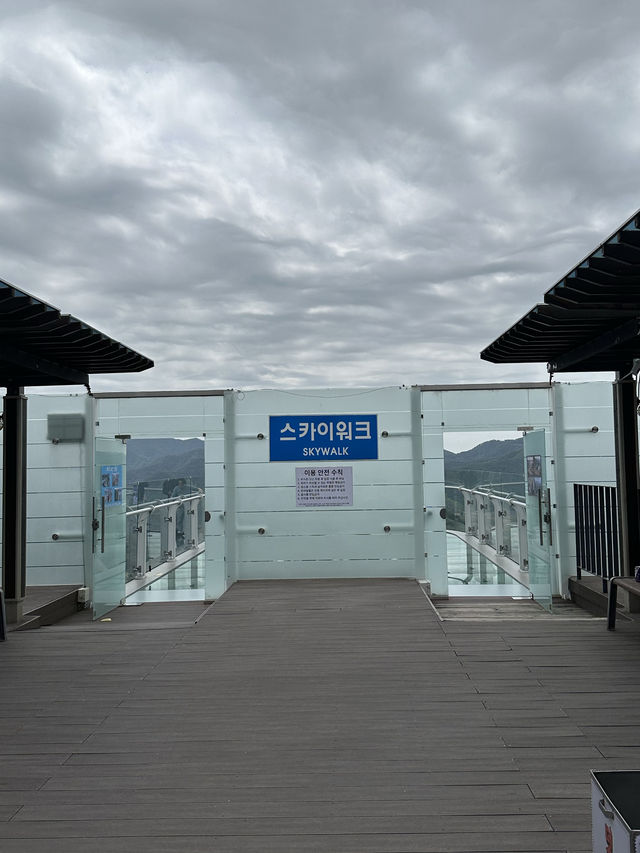 【韓国/江原道】アジア最長のジップワイヤーに乗れる秘境⛰️