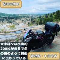 星峠の棚田