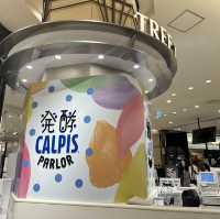 大阪　発酵CALPISパーラー