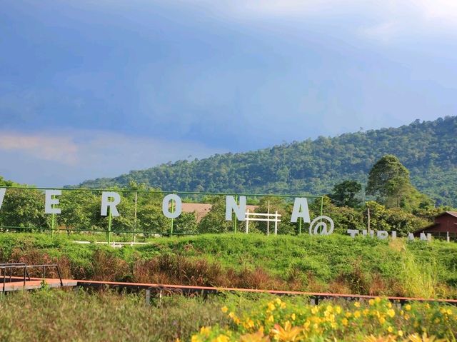 เที่ยวเวโรน่า ทับลาน