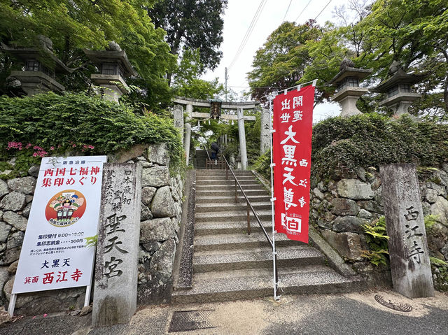 大阪｜離市區半小時車程的天然瀑布