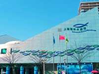 Visit Shanghai Ocean Aquarium 