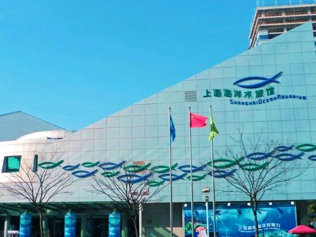 Visit Shanghai Ocean Aquarium 