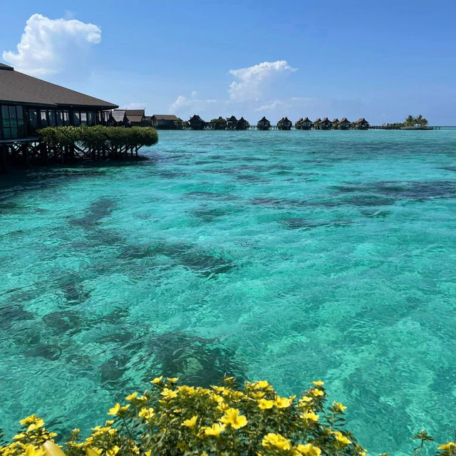 Paradise Found: Sipadan Kapalai Dive Resort Delivers!