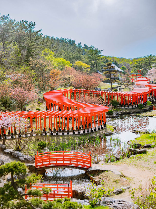 【青森にもあった！】千本鳥居絶景スポット⛩️⛩️高山稲荷神社