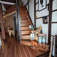 日本東京-清澄庭園旁的魔幻喫茶店：Café Kokun