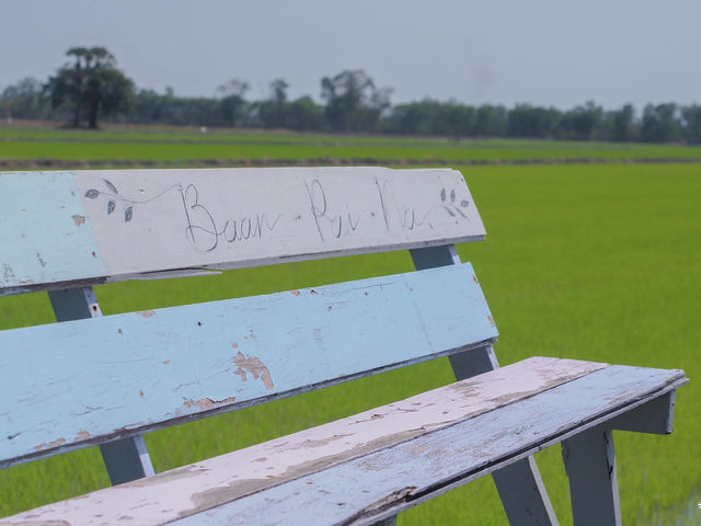 บ้านปายนา คาเฟ่ทุ่งนานครปฐม 🌾