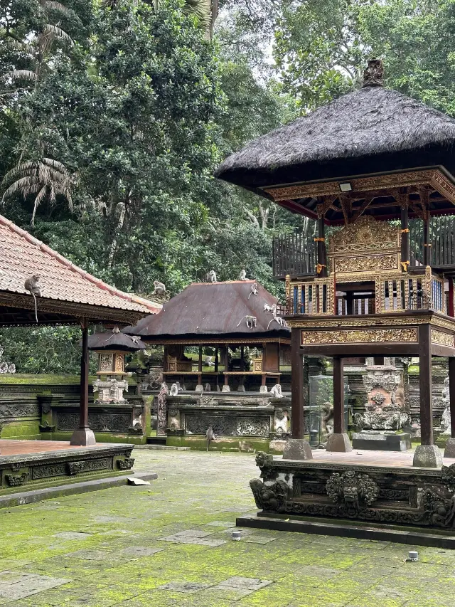 【烏布𤠣子森林：必去景點之一】