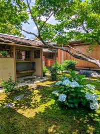 日本京都-一代茶聖千利休設計的庭園：大德寺黃梅院