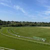 Chester Racecourse 🏇