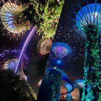 【新加坡】Supertree Grove：壯觀景色，值得欣賞🌟🌟🌟🌟🌟