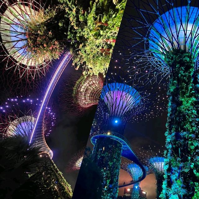 【新加坡】Supertree Grove：壯觀景色，值得欣賞🌟🌟🌟🌟🌟