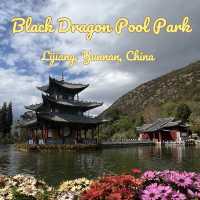 Discover the Magic of Lijiang's Black Dragon Pool