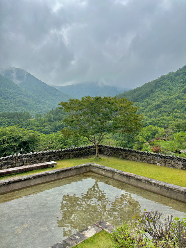 자연경관을 바라보며 힐링하기 좋은 완주 공간🌳