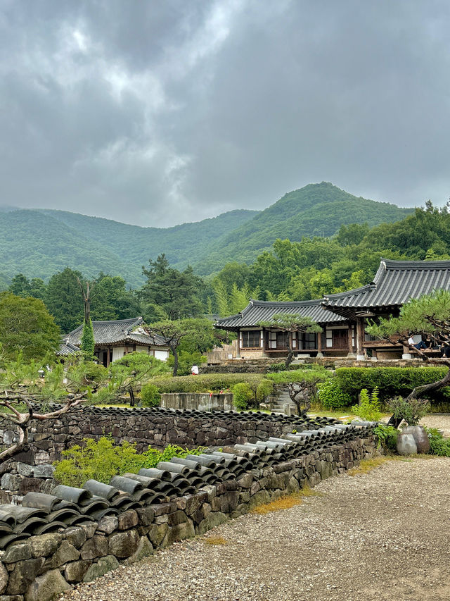고즈넉한 한옥에서 자연을 보며 즐기는 여름휴가🧡