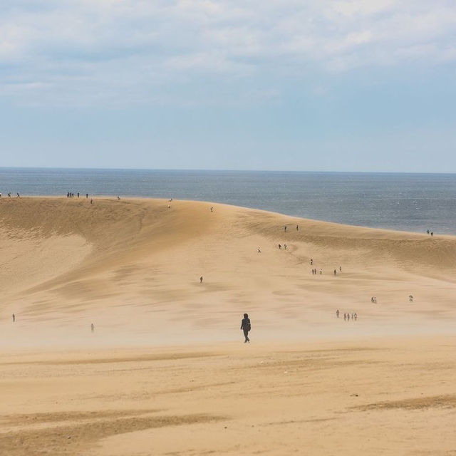 Tottori Sand Dune