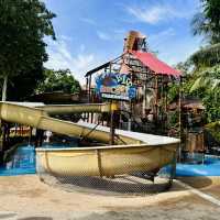 Splashing Fun in the Sun: Adventure Cove WaterPark 💦