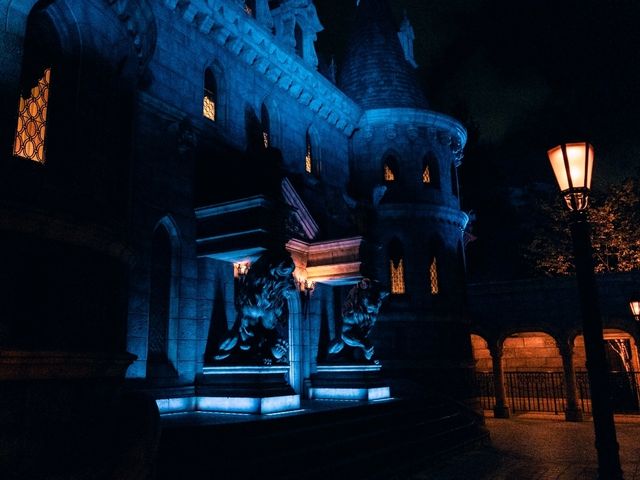 【千葉】やっぱり夏は東京ディズニーランドに行きたい！！