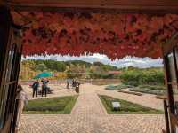 日本北海道-上萬株由綠轉紅的可愛波波草：由仁花園 Yuni Garden