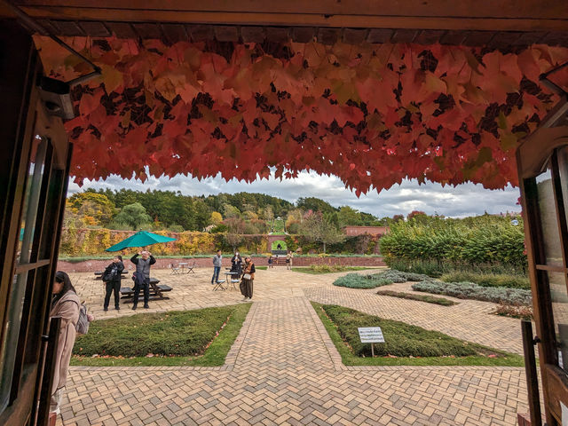 日本北海道-上萬株由綠轉紅的可愛波波草：由仁花園 Yuni Garden