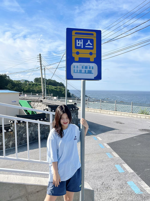 오션뷰가 아름다운 여름여행지