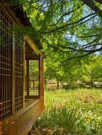 푸릇 푸릇한 자연을 바라보기 좋은 한국도로공사 수목원💚