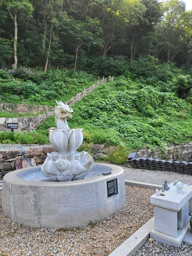 호랑이가 있는 충북 영동 반야사