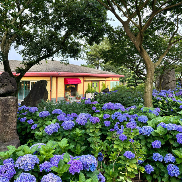 제주여행🏝️ 동화 속 작은 마을, 동쪽 송당 동화마을🩵