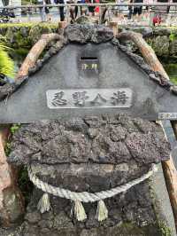 山梨景點｜富士山腳下神秘湧泉群—忍野八海—遠眺富士山美景