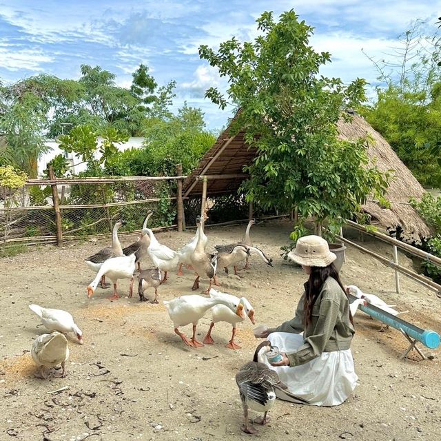 พักผ่อน ฟาร์มสเตย์ฮีลใจ ใกล้กรุงเทพ🪿🧺🌳