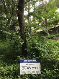 探索新宿的歷史軌跡：新宿歴史博物館之旅