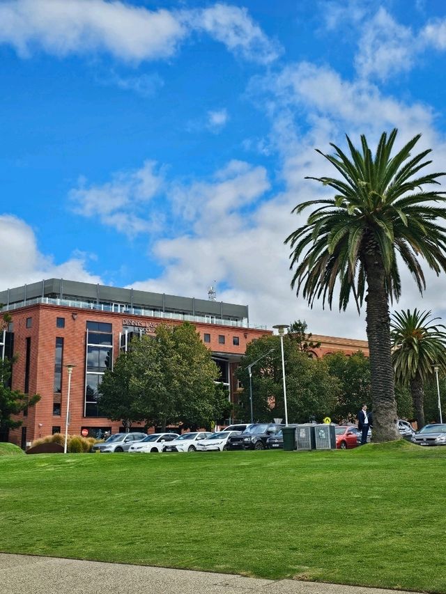 멜버른 🇦🇺 트레인 타고 가는 근교 해변도시 geelong