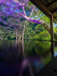 京都の舞妓、芸妓憧れの地『嵐山祐斎亭』日本の美と自然唯一無二の世界観アートを感じられます💫