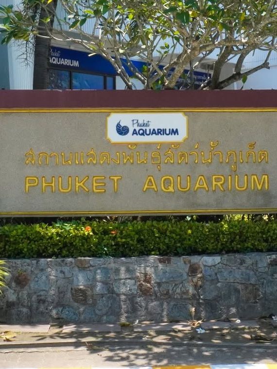สถานแสดงพันธุ์สัตว์น้ำ ภูเก็ต (Phuket Aquarium )